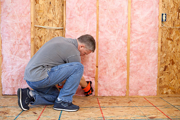Best Insulation Maintenance and Repair in Bethel Manor, VA