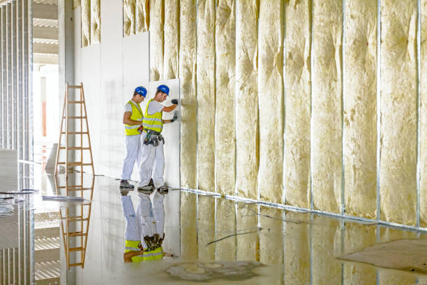 Best Geographic-Specific Insulation Services in Bethel Manor, VA